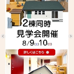 チキン集まれ！